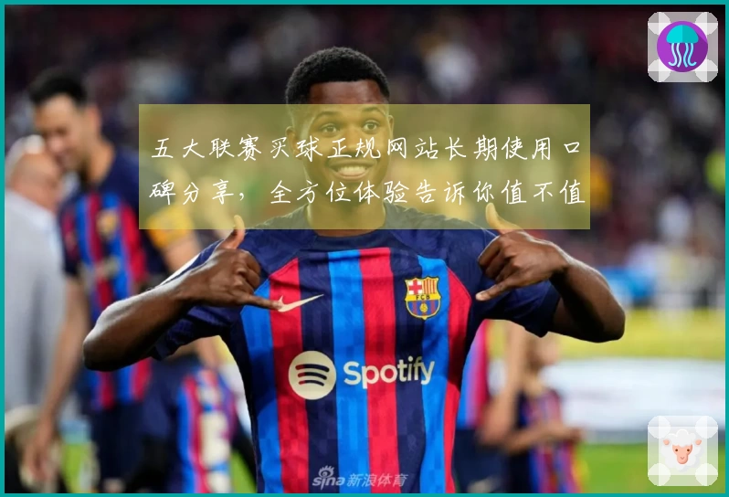 五大联赛买球正规网站长期使用口碑分享，全方位体验告诉你值不值得